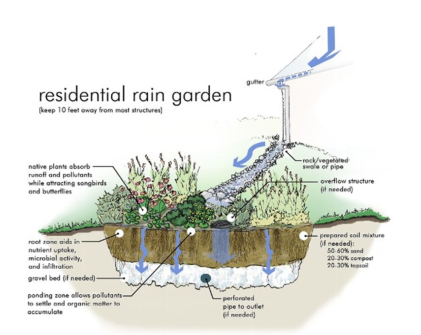 Amazing Rain Garden Design Ideas